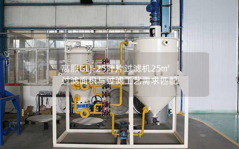 高服GLJ-25叶片过滤机25㎡过滤面积与过滤工艺需求匹配 高服GLJ-25叶片过滤机25㎡过滤面积与过滤工艺需求匹配