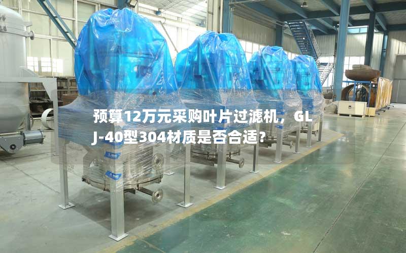 预算12万元采购叶片过滤机，GLJ-40型304材质是否合适？