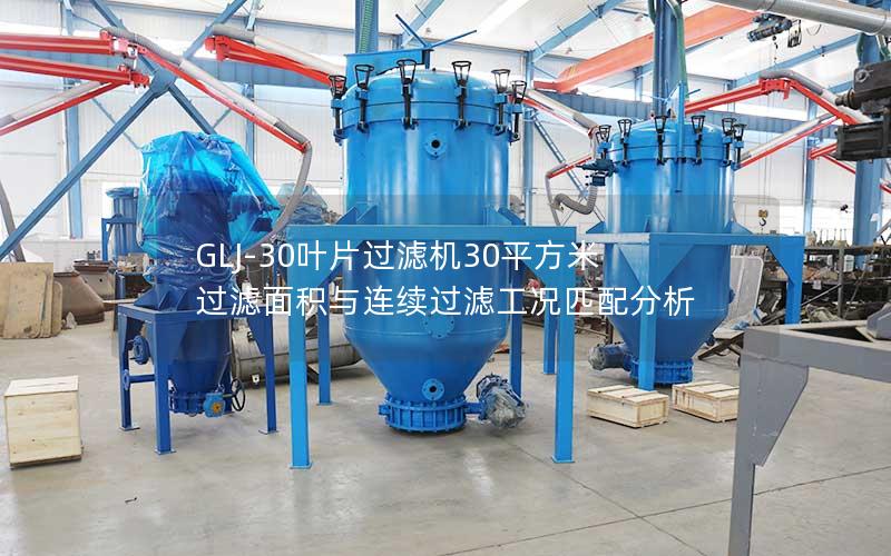 GLJ-30叶片过滤机30平方米过滤面积与连续过滤工况匹配分析 GLJ-30叶片过滤机30平方米过滤面积与连续过滤工况匹配分析