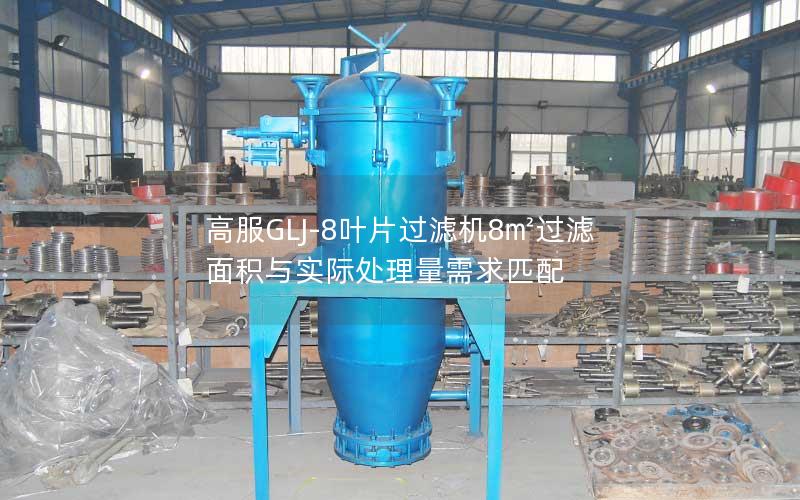 高服GLJ-8叶片过滤机8㎡过滤面积与实际处理量需求匹配 高服GLJ-8叶片过滤机8㎡过滤面积与实际处理量需求匹配