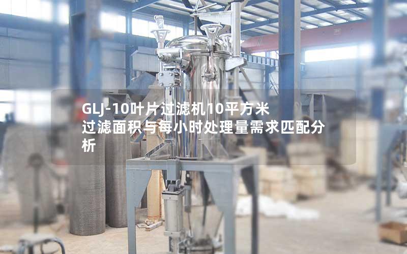 GLJ-10叶片过滤机10平方米过滤面积与每小时处理量需求匹配分析