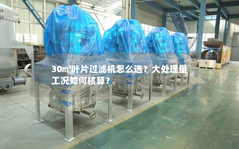 30㎡叶片过滤机怎么选?大处理量工况如何核算? 30㎡叶片过滤机怎么选?大处理量工况如何核算?