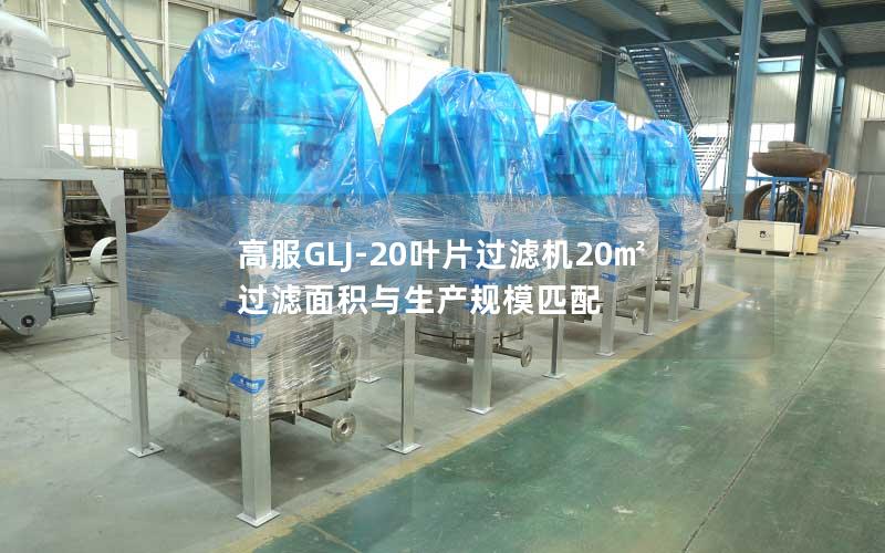 高服GLJ-20叶片过滤机20㎡过滤面积与生产规模匹配 高服GLJ-20叶片过滤机20㎡过滤面积与生产规模匹配